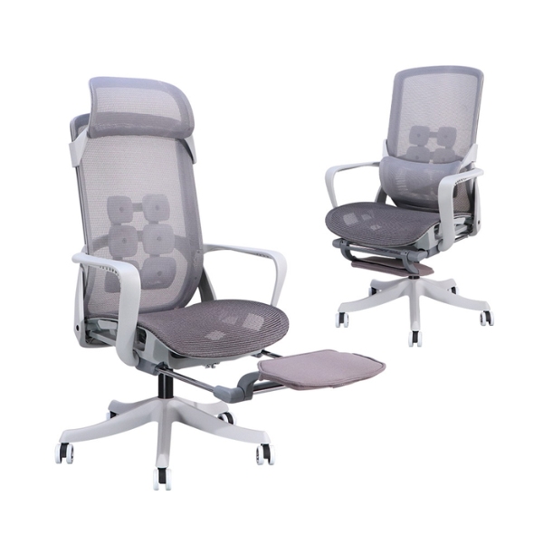Ghế Công Thái Học Giá Rẻ Đa Năng: SG - 2510